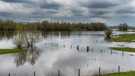 Powódź w Polsce – przyczyny, skutki oraz prewencja