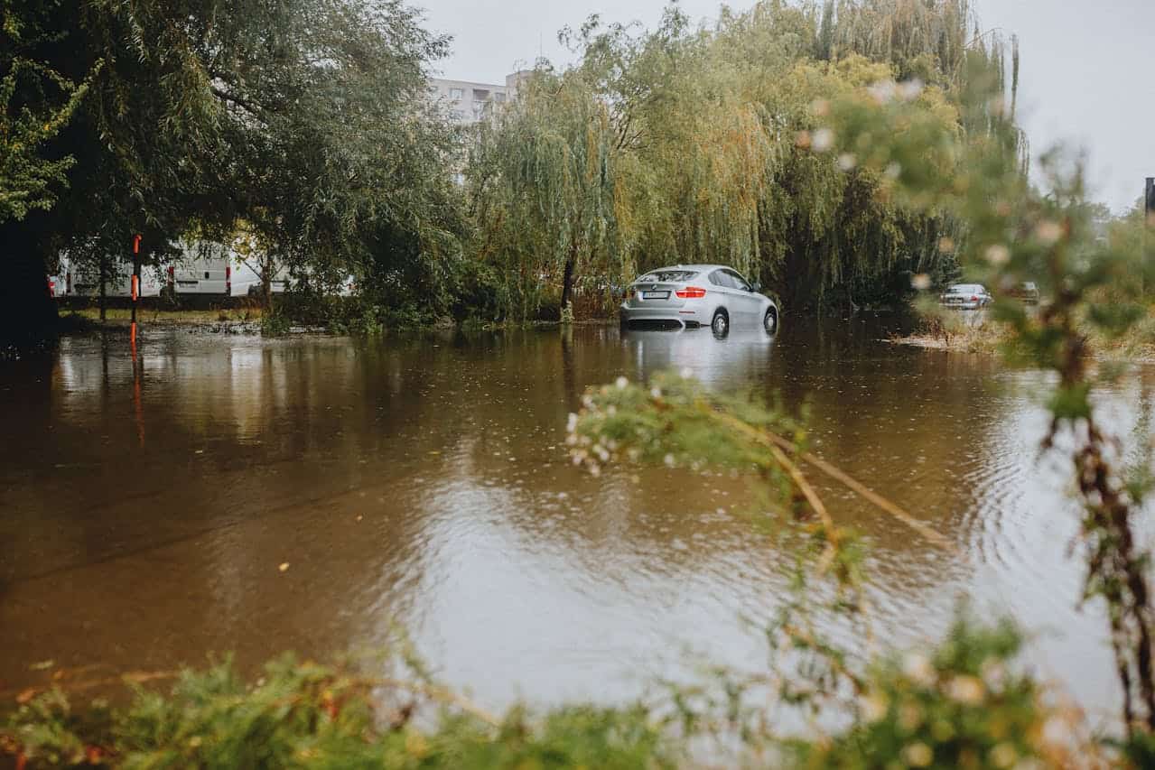 Teren zalewowy 4