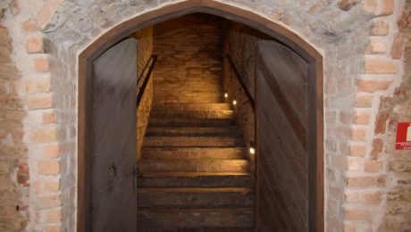 Skuteczne osuszanie piwnicy – przyczyny zawilgocenia i sprawdzone metody