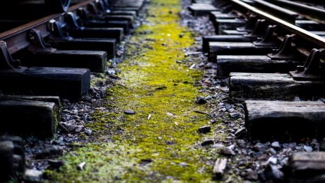 Stabilizacja torowisk i infrastruktury suwnicowej